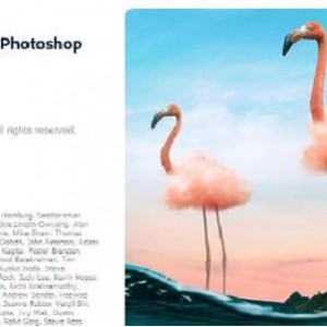 实用软件《Adobe Photoshop 2021 v22.3.1.122》中文免激活版推荐